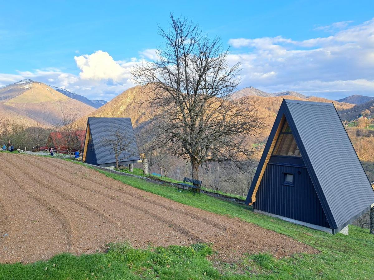 Fern Farm Tiny Home Mojkovac Exteriör bild
