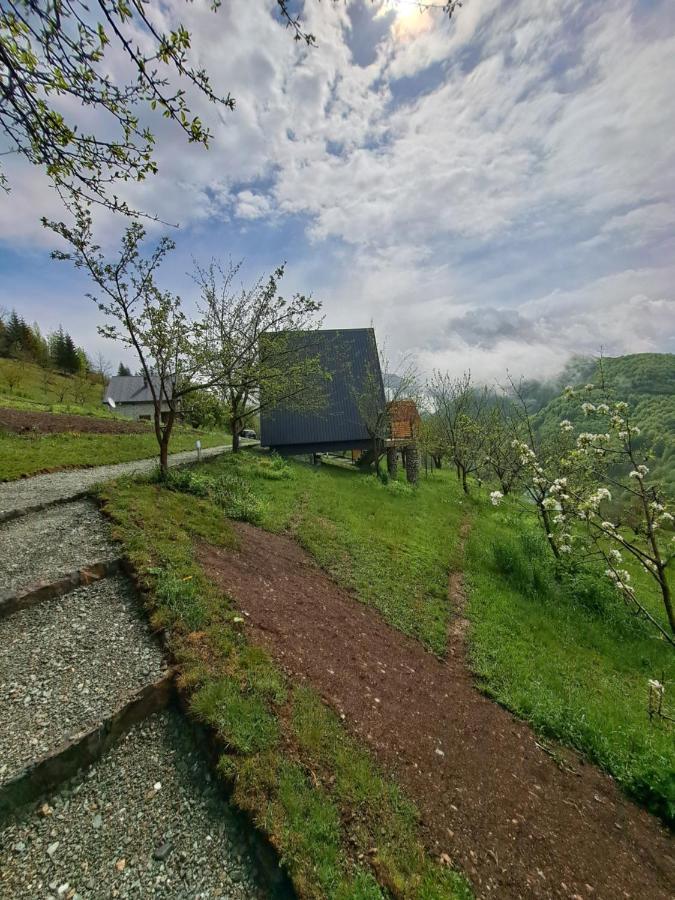 Fern Farm Tiny Home Mojkovac Exteriör bild