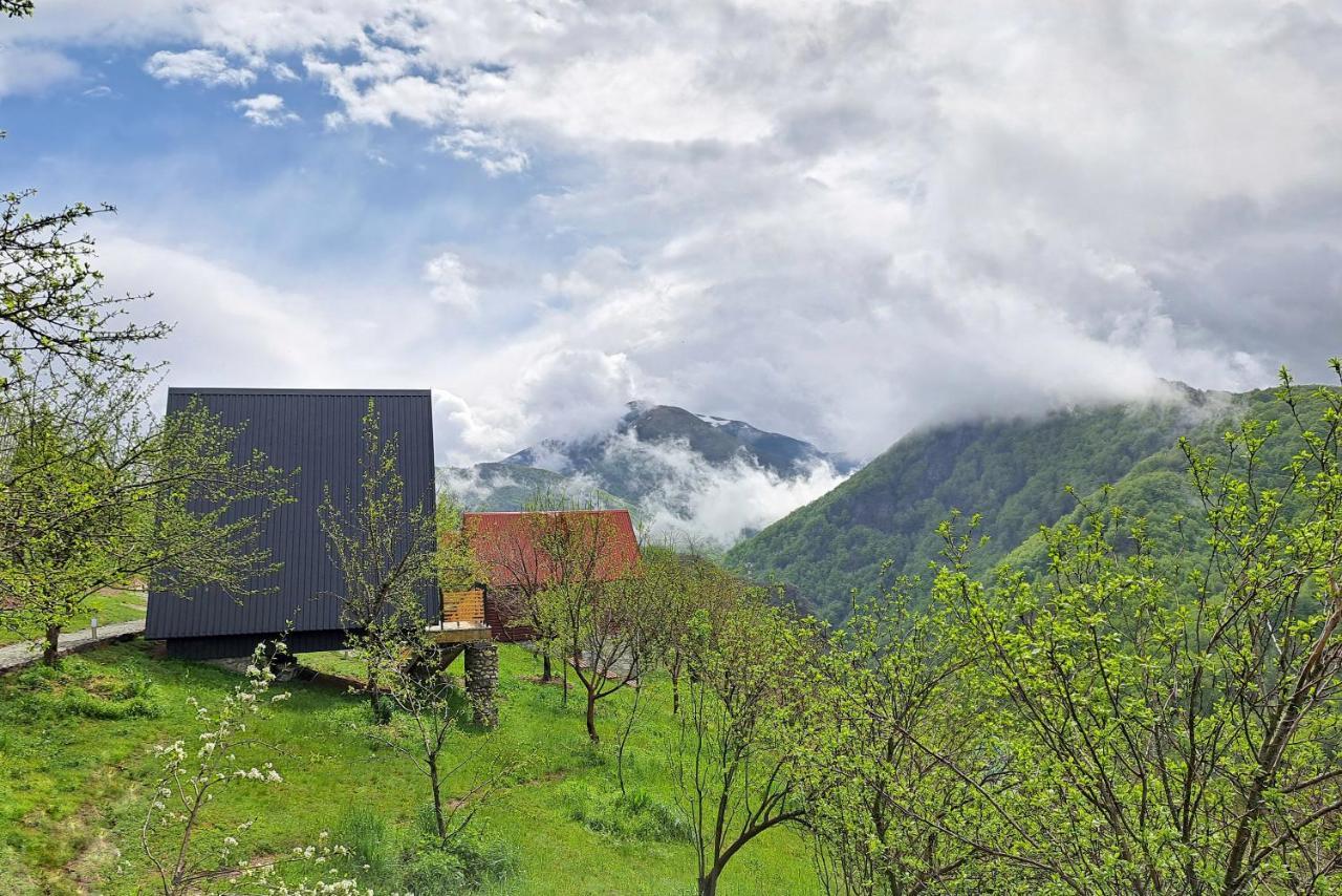 Fern Farm Tiny Home Mojkovac Exteriör bild
