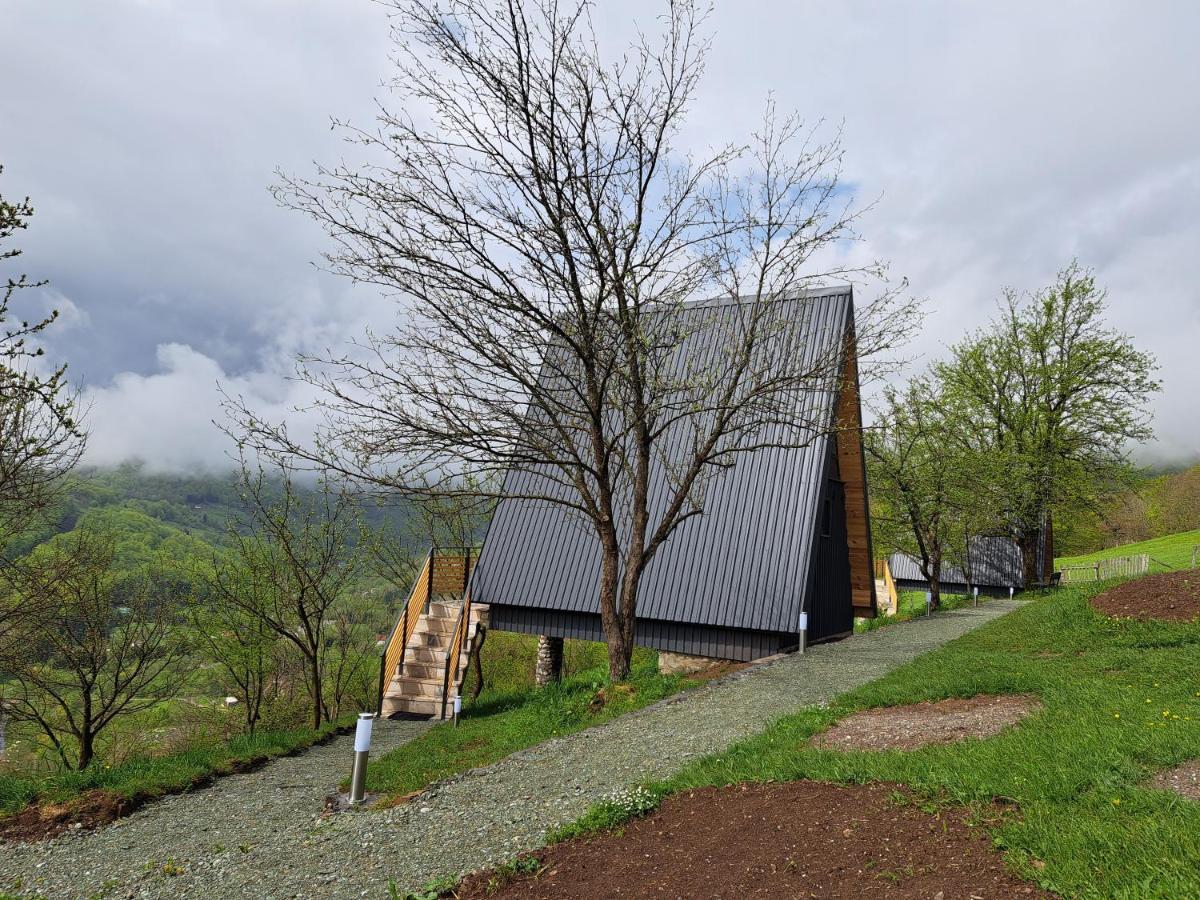 Fern Farm Tiny Home Mojkovac Exteriör bild