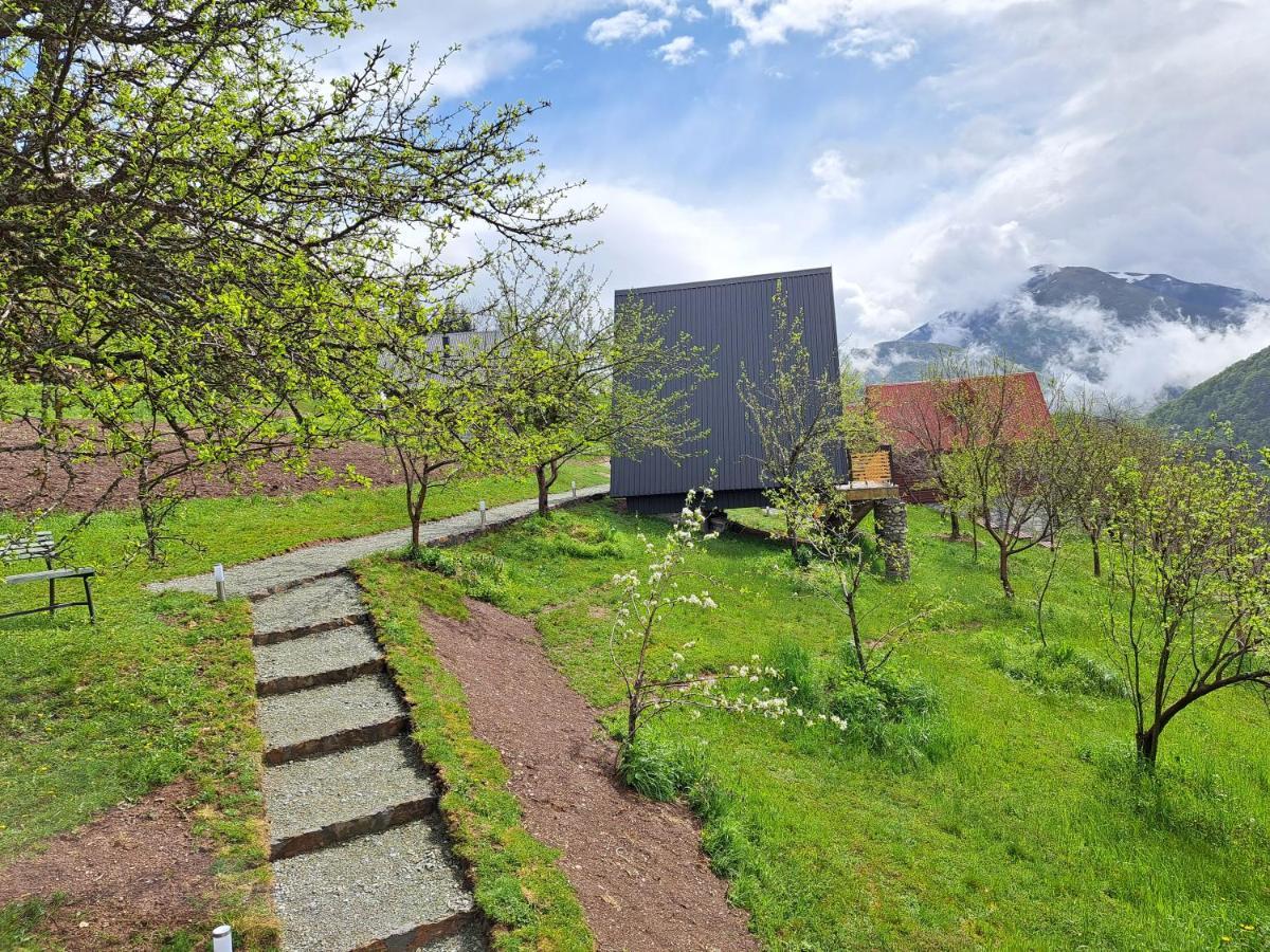 Fern Farm Tiny Home Mojkovac Exteriör bild
