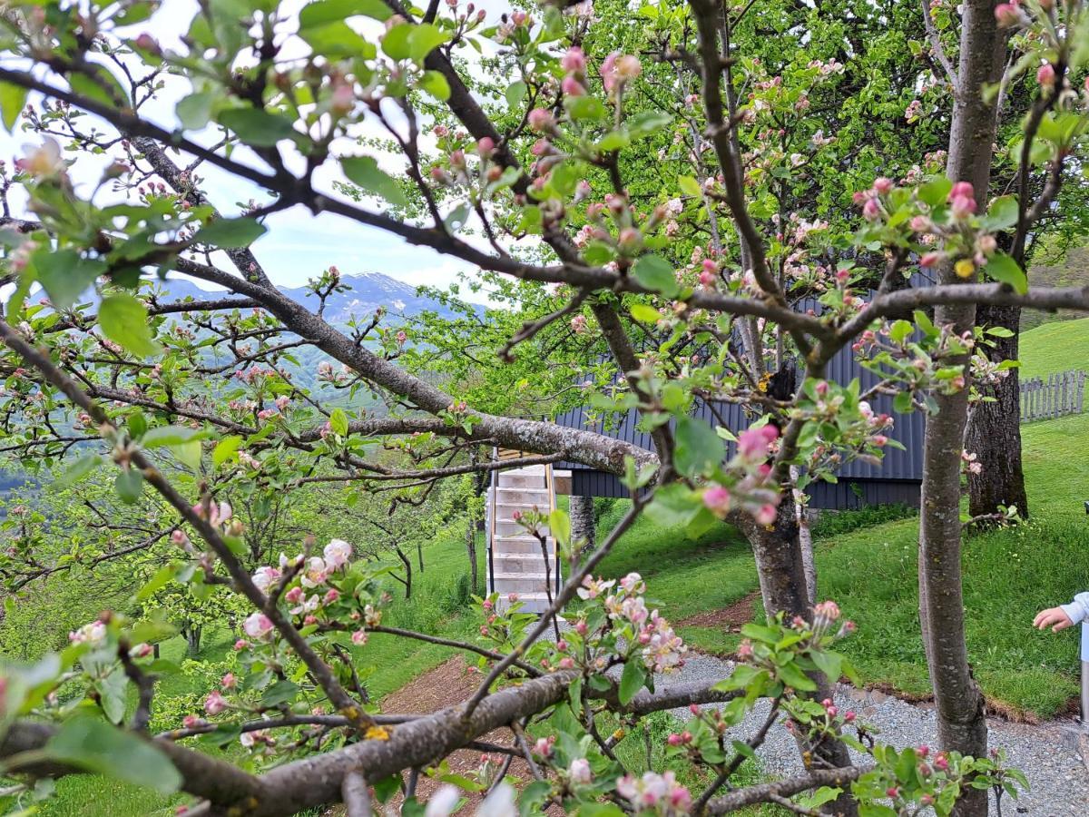 Fern Farm Tiny Home Mojkovac Exteriör bild