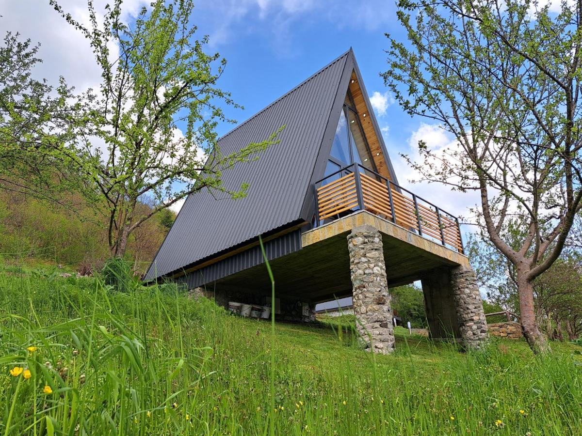 Fern Farm Tiny Home Mojkovac Exteriör bild