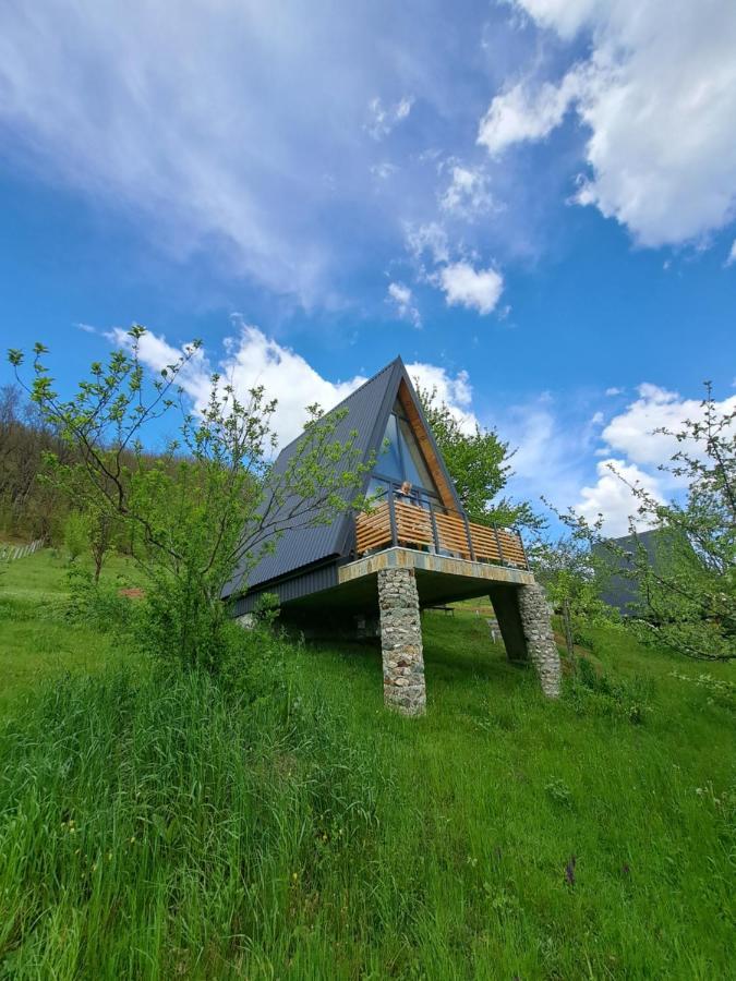 Fern Farm Tiny Home Mojkovac Exteriör bild