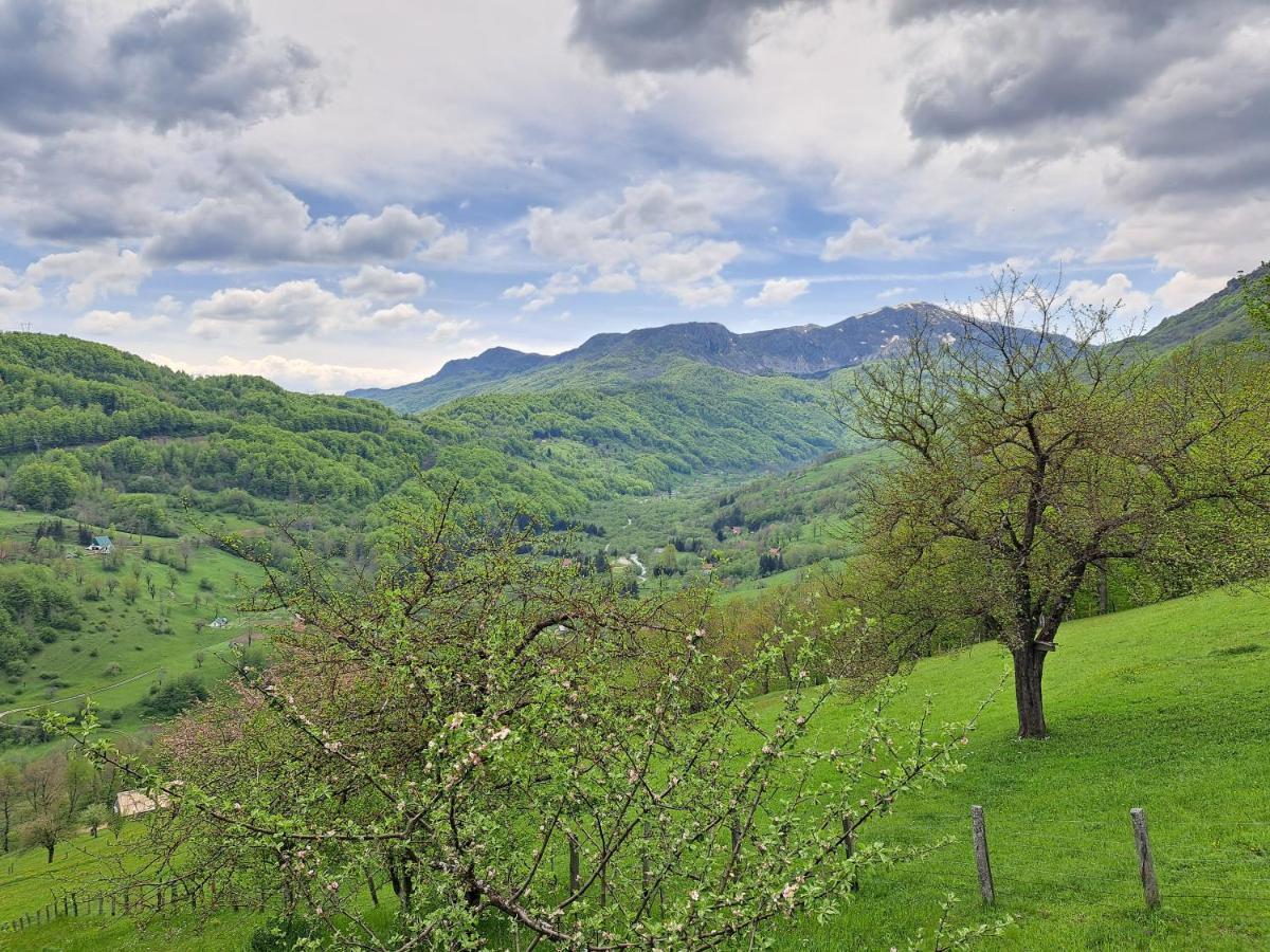 Fern Farm Tiny Home Mojkovac Exteriör bild