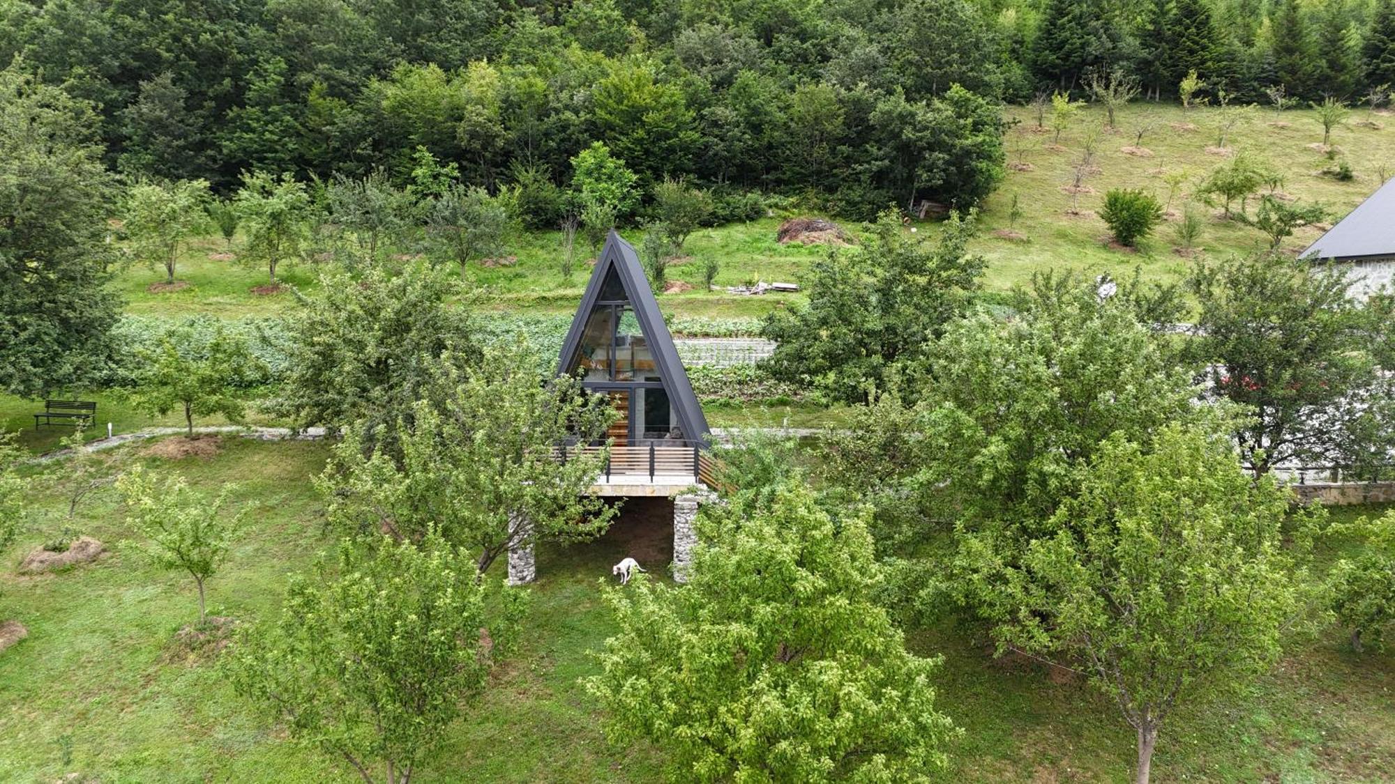 Fern Farm Tiny Home Mojkovac Exteriör bild