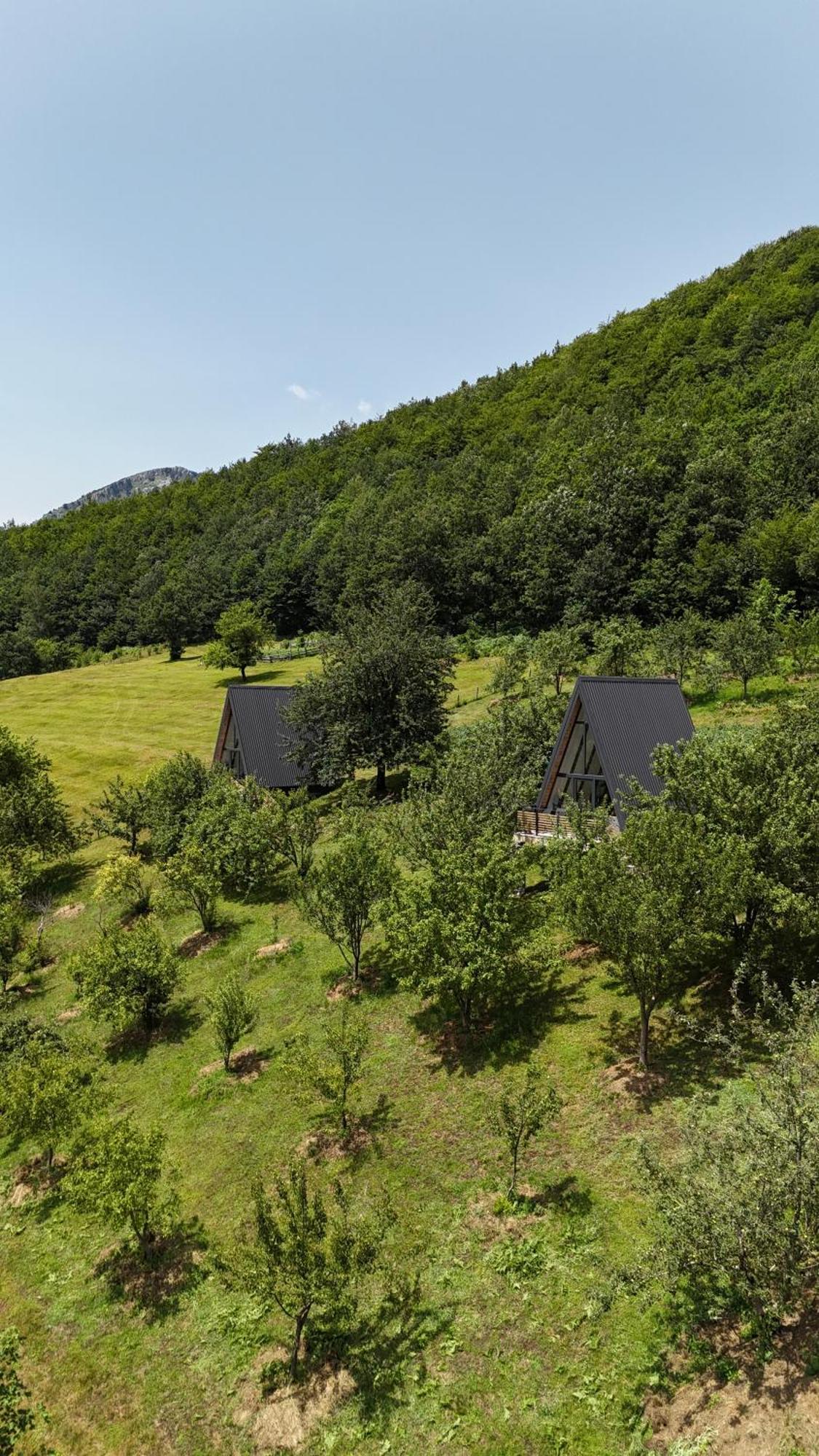 Fern Farm Tiny Home Mojkovac Exteriör bild