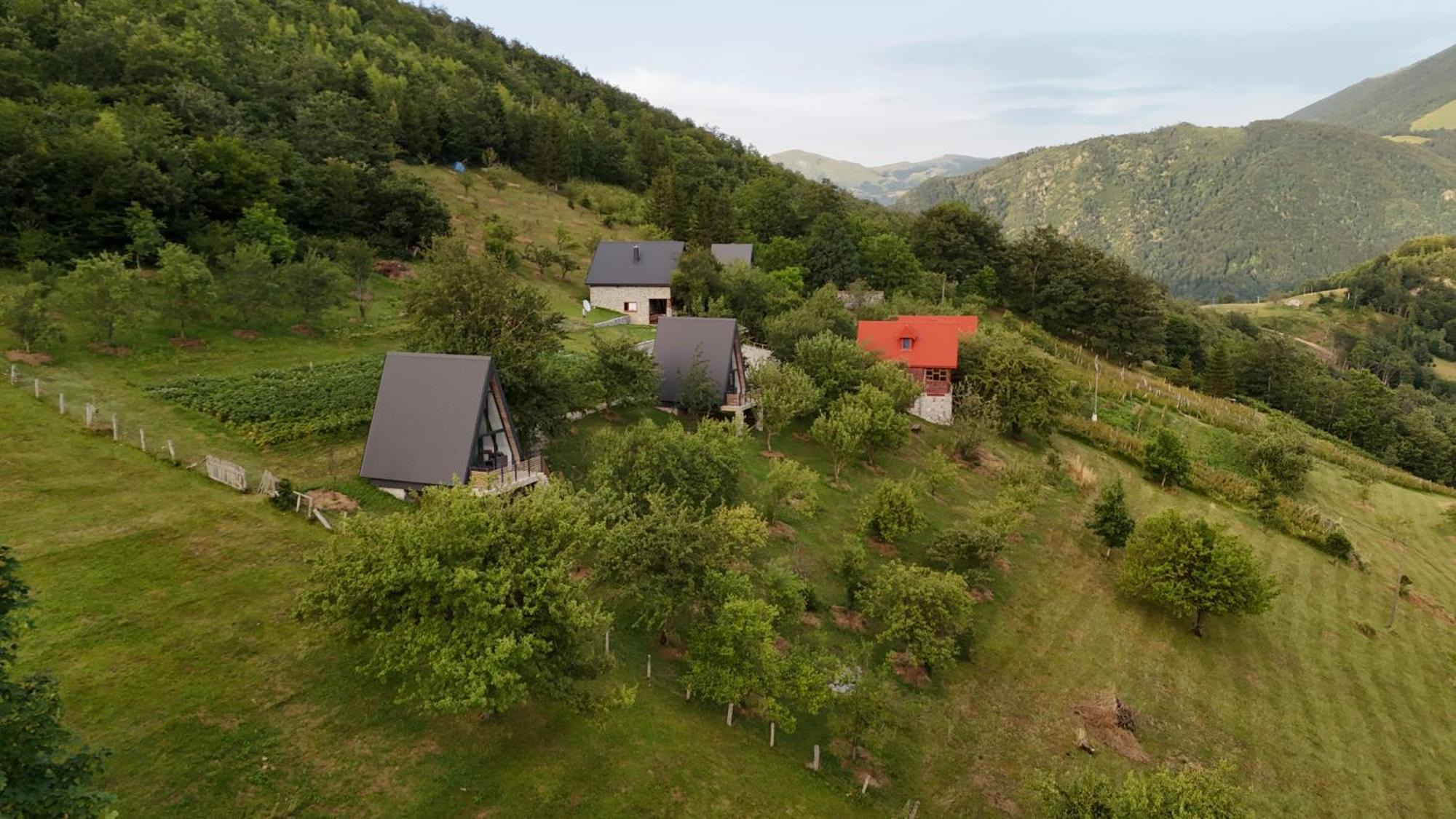 Fern Farm Tiny Home Mojkovac Exteriör bild