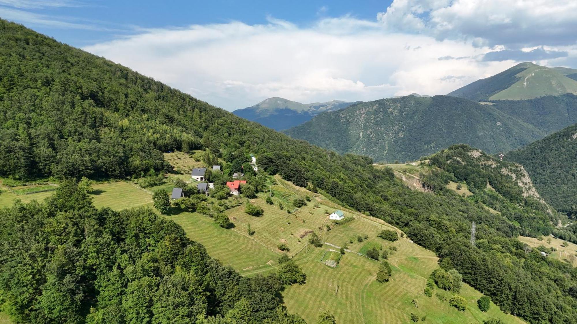 Fern Farm Tiny Home Mojkovac Exteriör bild