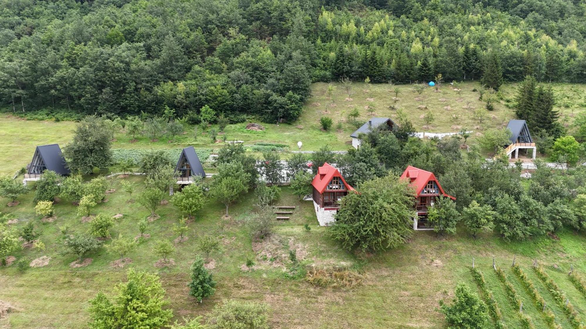 Fern Farm Tiny Home Mojkovac Exteriör bild