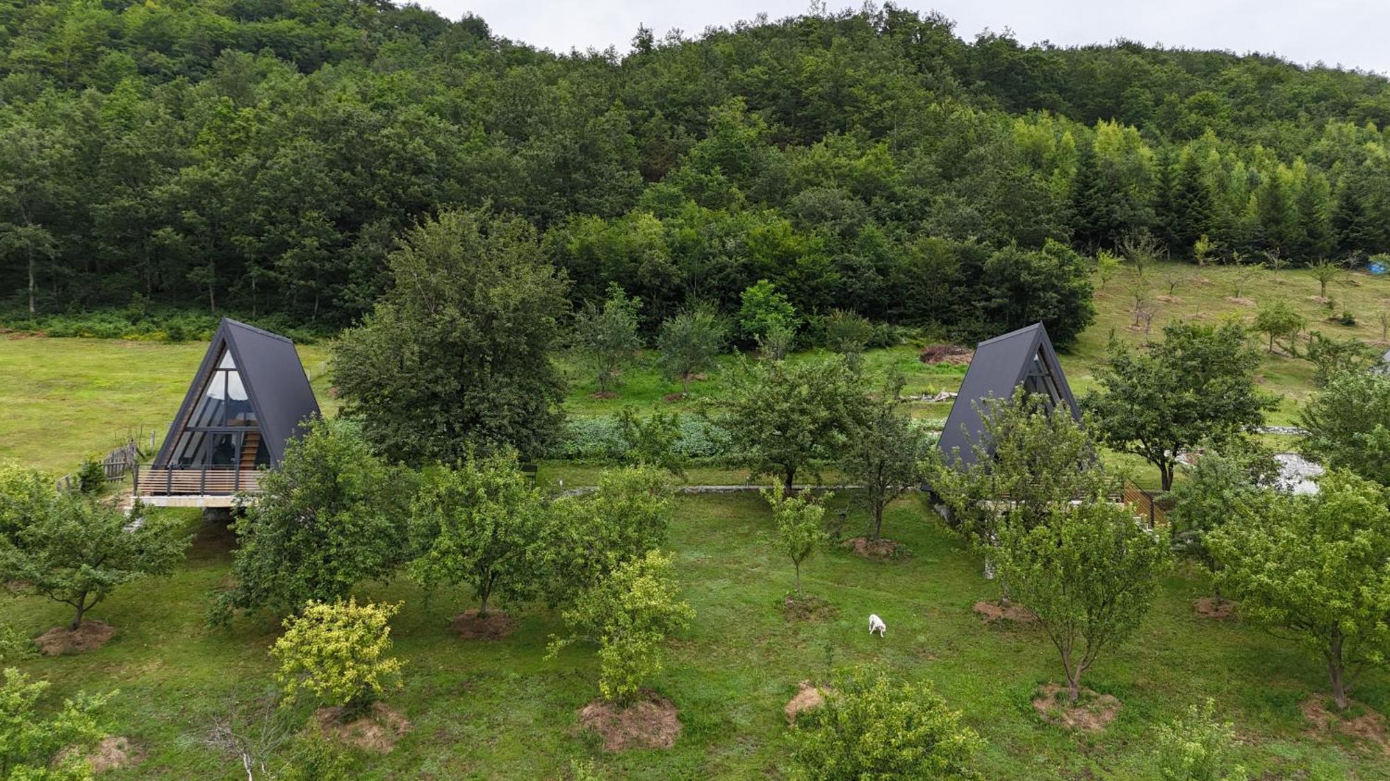 Fern Farm Tiny Home Mojkovac Exteriör bild