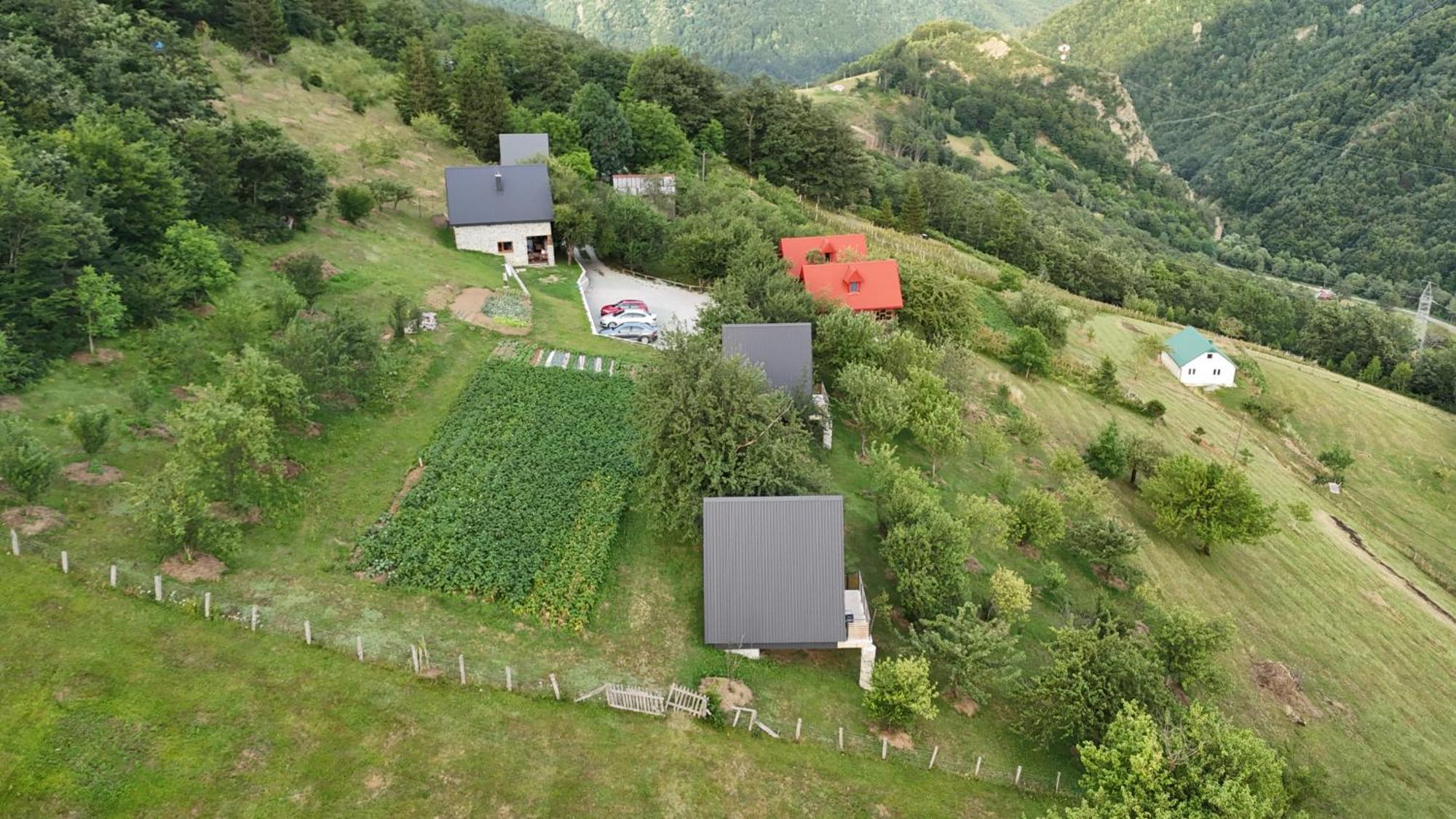 Fern Farm Tiny Home Mojkovac Exteriör bild